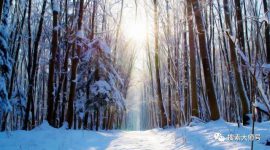 小白级信息流优化师的头条账户搭建过程复盘-信息流广告投放学习网