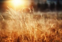 只需3分钟，教你轻松搞定百度信息流广告账户优化9大难题-信息流广告投放学习网