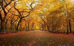 两大方向，全面盘点今日头条信息流广告的玩法-信息流广告投放学习网