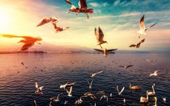 信息流培训课涨价倒计时：不要让别人的月薪成为你的年薪！-信息流广告投放学习网