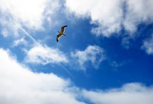 实例解析：百度信息流广告账户搭建步骤-信息流广告投放学习网