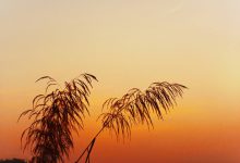 学会这个信息流优化师“勾引用户”的卖点公式，转化效果立马翻倍！-信息流广告投放学习网