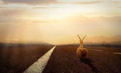 新手必看！10条信息流推广常见错误，一定要注意！-信息流广告投放学习网