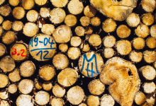 为什么别的优化师可以一天上100条计划？批量操作了解一下-信息流广告投放学习网