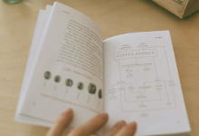 「市场营销方案」怎么写？掌握这个8个撰写方向，帮你轻松搞定！-信息流广告投放学习网